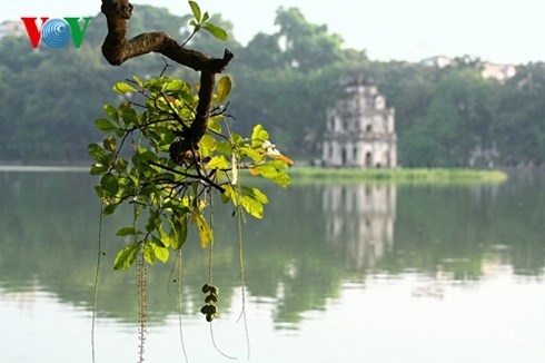 វៀតណាមនាំមុខ Top ១០កន្លែងមកដល់នានិទាឃៈរដូវ២០១៥